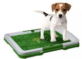 Tapete de Limpieza para Perros Pequeños