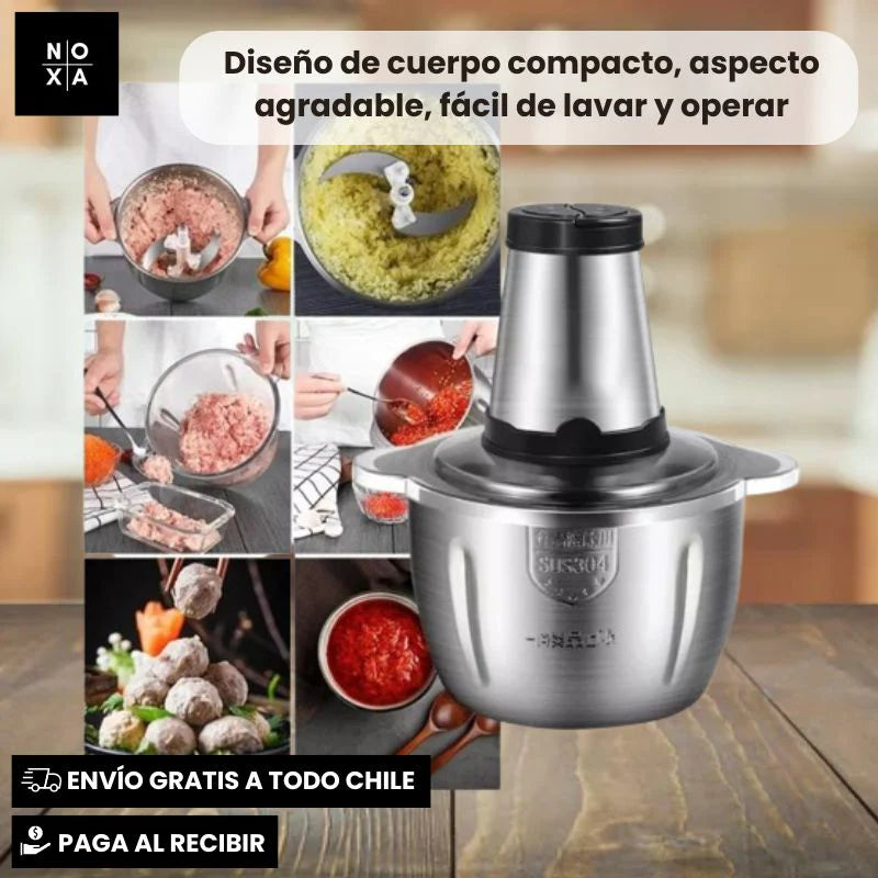 PICADORA ELECTRICA DOS VELOCIDADES